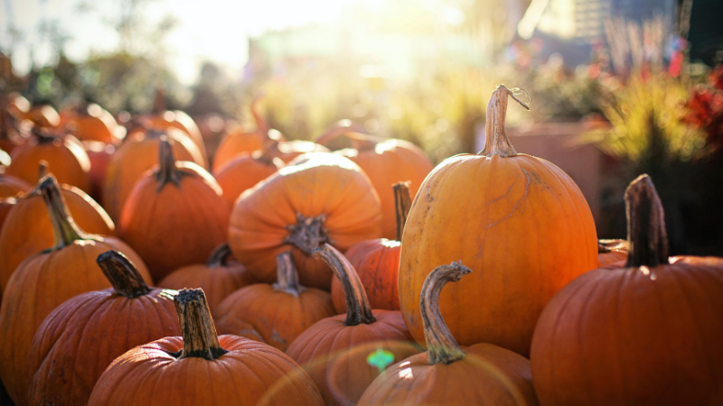 Bowling Green Events for a Scary Good October | Crye-Leike Executive Realty