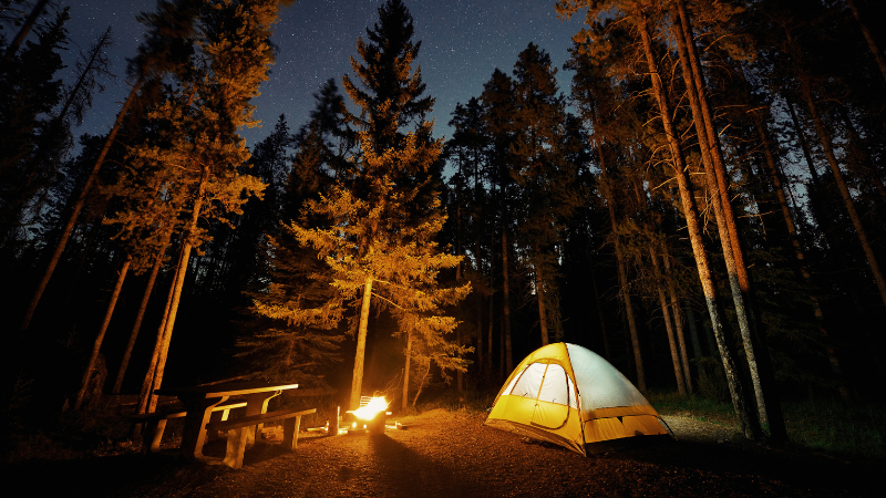 Discover Beautiful Camping Locations Close to Bowling Green, KY | Crye-Leike Executive Realty
