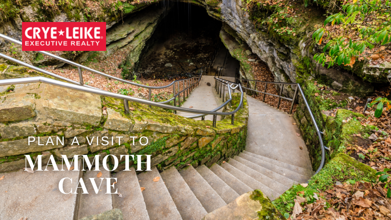 Mammoth Cave - Explore KY - Crye-Leike Executive Realty