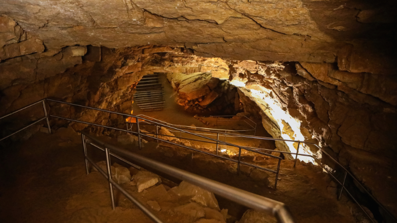 Plan a Summer Visit to Cave City, KY | Crye-Leike Executive Realty