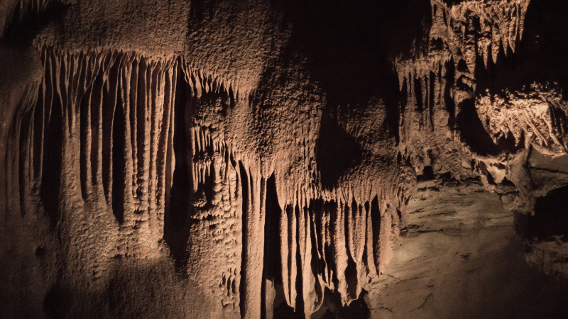Plan a Winter Visit to Mammoth Cave | Crye-Leike Executive Realty
