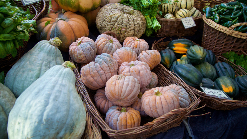 Winter 2025 Events Around Bowling Green, KY | Crye-Leike Executive Realty